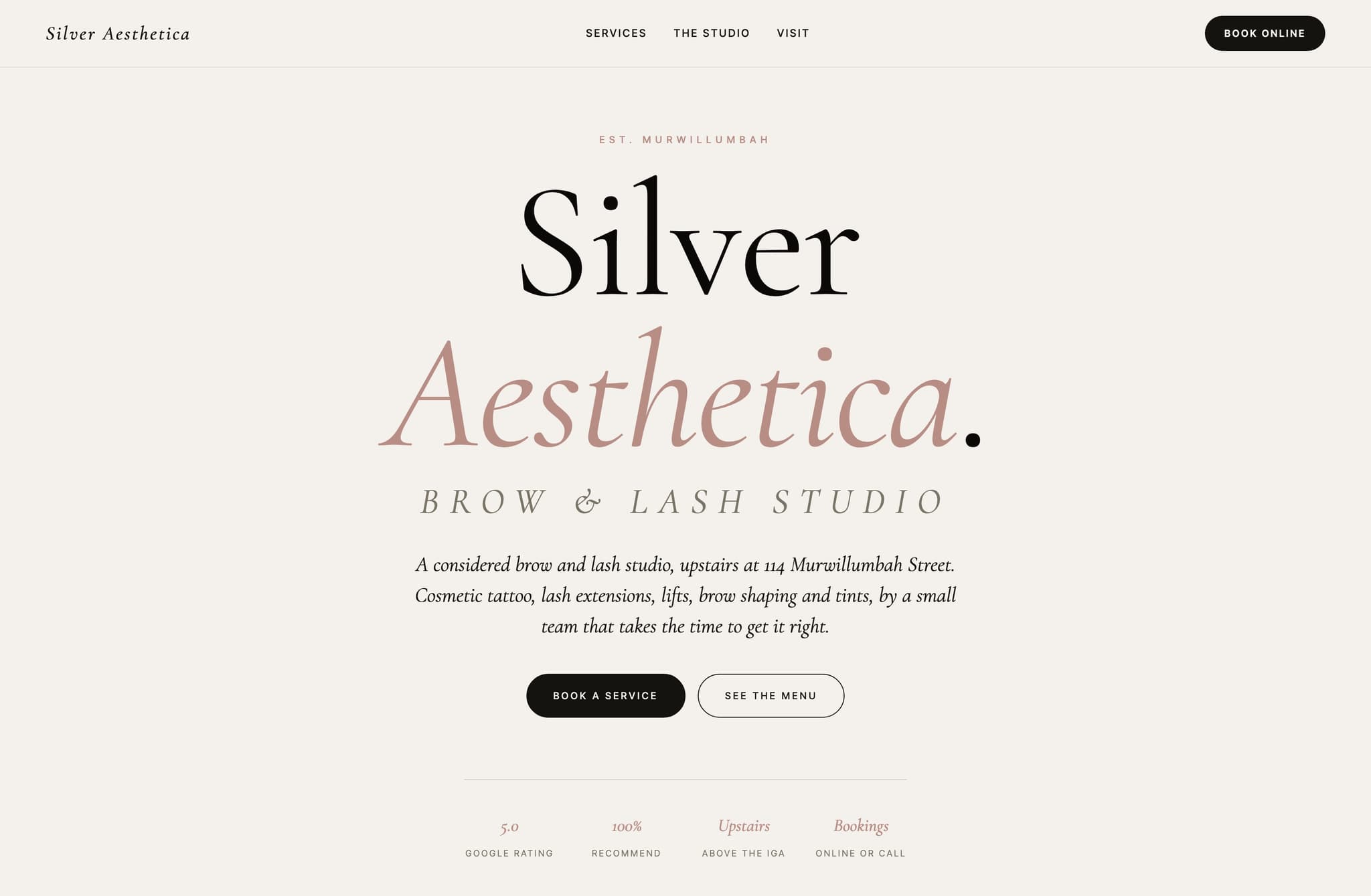 Silver Aesthetica, Web Design project thumbnail